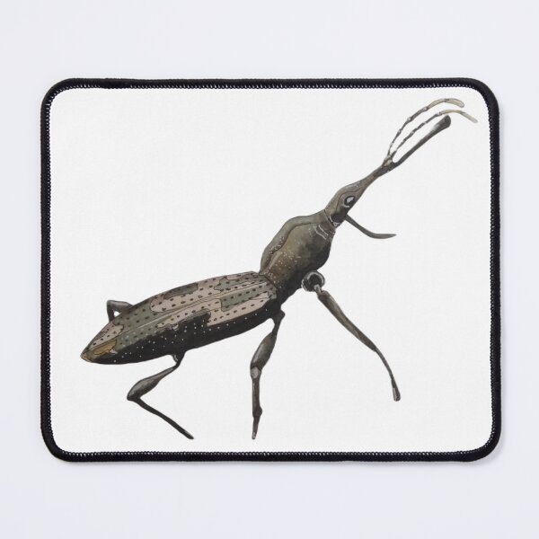 Item preview, New Zealand giraffe weevil designed and sold by dawnduthie.