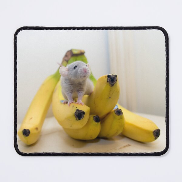 Item preview, Fish on Bananas designed and sold by Martymouse.