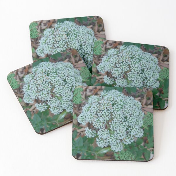 Item preview, Angelica  designed and sold by SweetbriarPhoto.