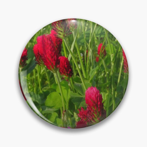 Item preview, Crimson Clover ( Trifolium Incarnatum ) designed and sold by wiggyofipswich.