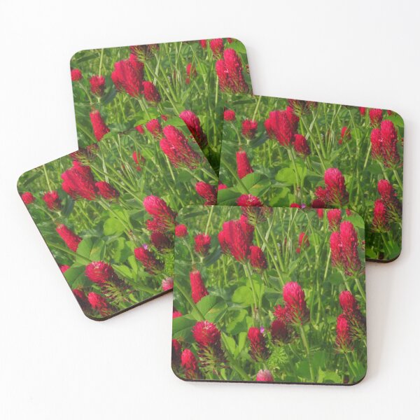 Item preview, Crimson Clover ( Trifolium Incarnatum ) designed and sold by wiggyofipswich.