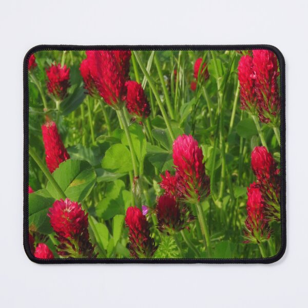 Item preview, Crimson Clover ( Trifolium Incarnatum ) designed and sold by wiggyofipswich.