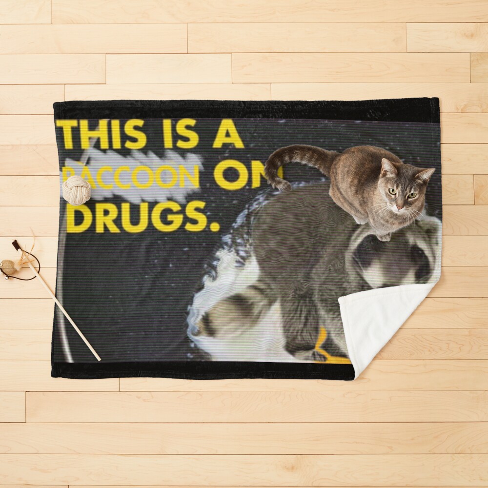 This is a Raccoon on Drugs; This is Your Brain on Drugs Parody