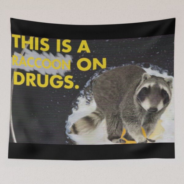 Item preview, This is a Raccoon on Drugs; This is Your Brain on Drugs Parody designed and sold by LILAC-INFANT.