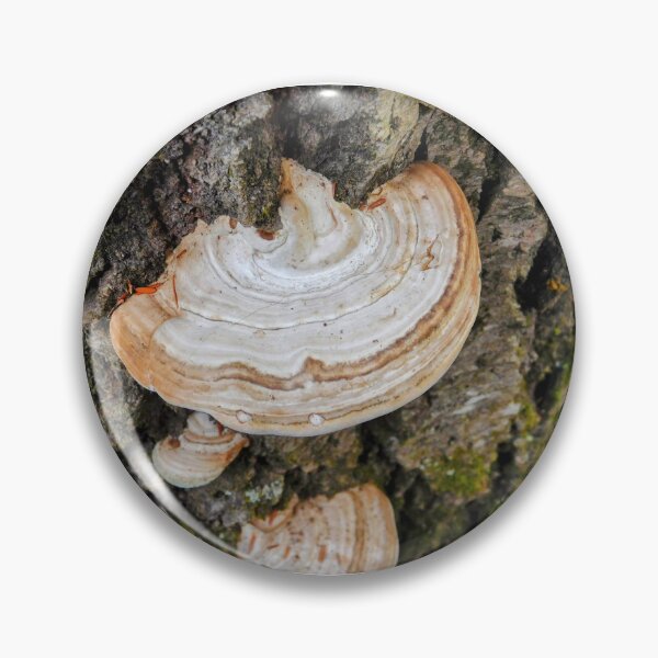 Item preview, Fungus Among Us designed and sold by SweetbriarPhoto.