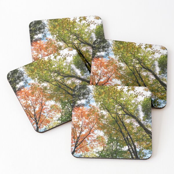 Item preview, The Canopy  designed and sold by SweetbriarPhoto.