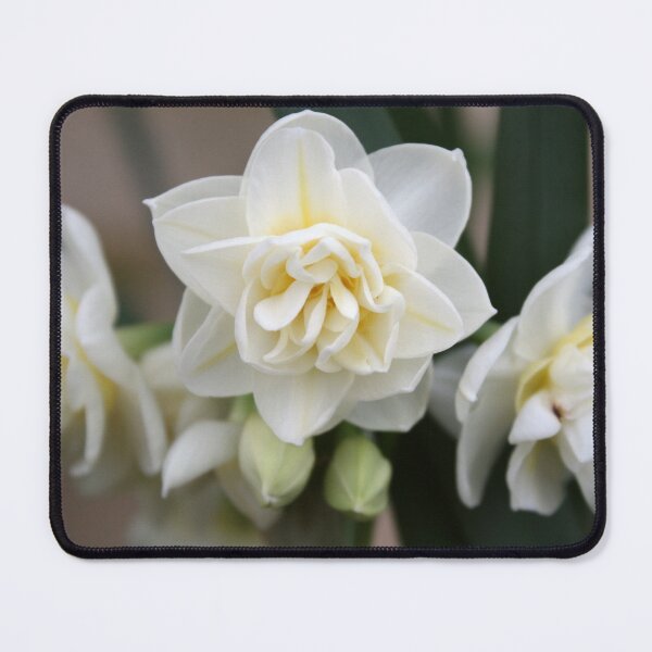 Item preview, Triple Bloom designed and sold by LeanneAllen.