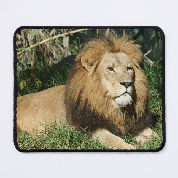 Item preview, King Of The Jungle designed and sold by LeanneAllen.