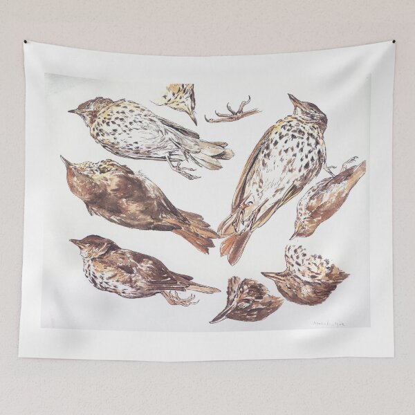 Item preview, Anatomical study of a Sparrow by Beatrix Potter designed and sold by Vintage Designs +.