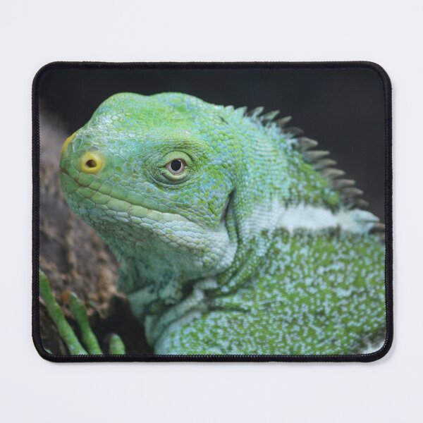 Item preview, Fijian Crested Iguana designed and sold by LeanneAllen.