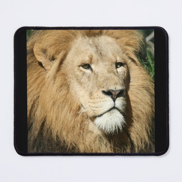 Item preview, I Am King designed and sold by LeanneAllen.
