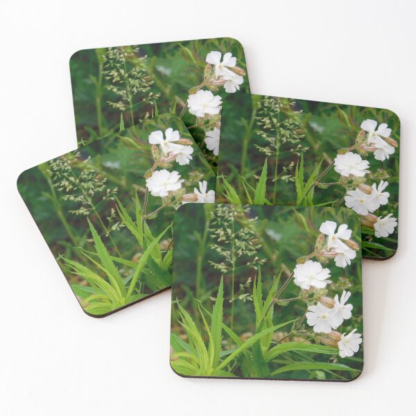 Item preview, White Campion designed and sold by SweetbriarPhoto.