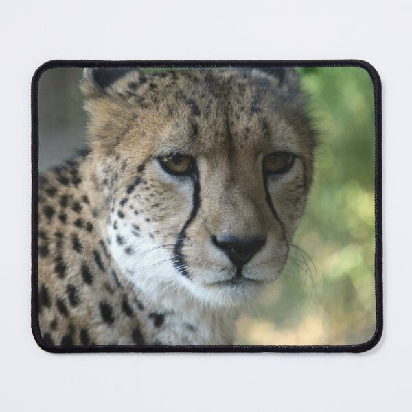 Item preview, Cheetah designed and sold by LeanneAllen.
