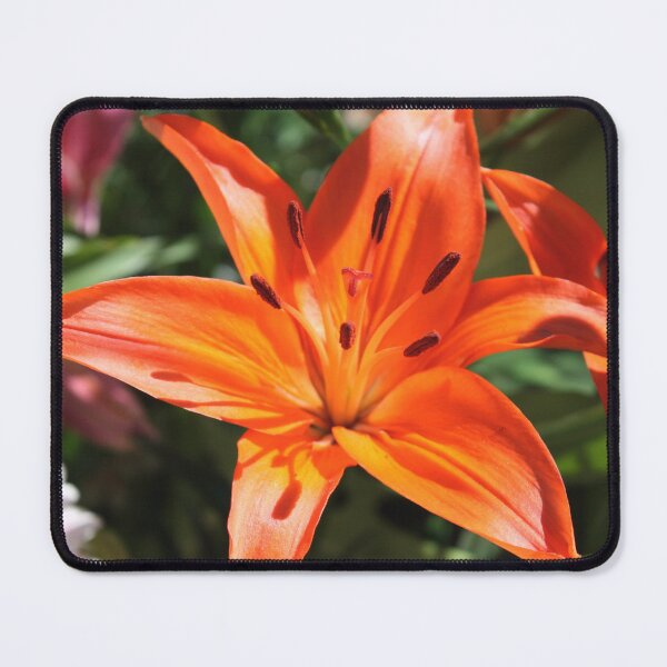 Item preview, Orange Glow designed and sold by LeanneAllen.