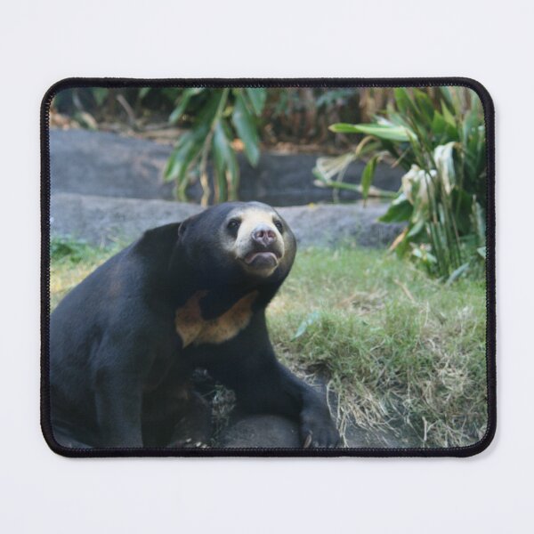 Item preview, Sun Bear designed and sold by LeanneAllen.
