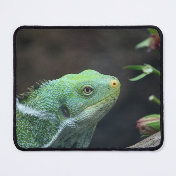Item preview, Fijian Iguana designed and sold by LeanneAllen.