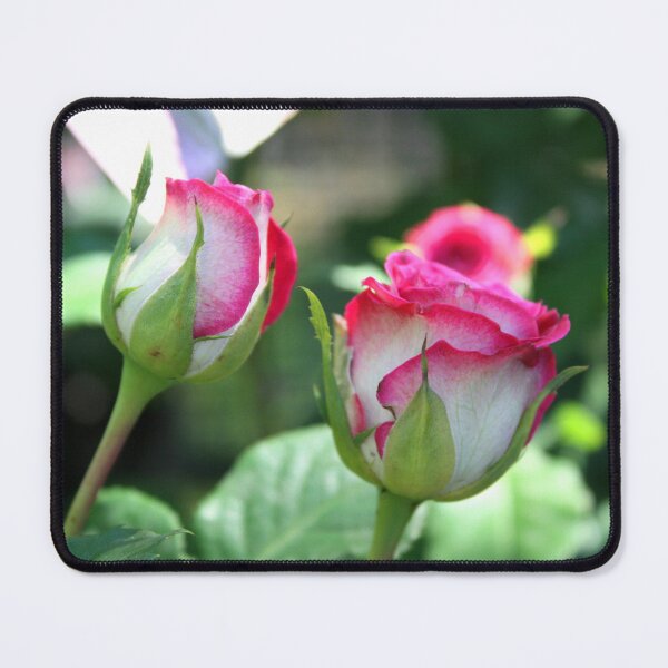 Item preview, Rose Complexion designed and sold by LeanneAllen.