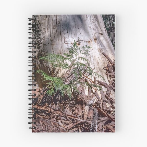 Item preview, Megalong Valley (2) designed and sold by Josette Halls.