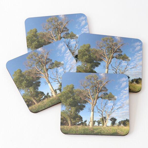 Item preview, Cottonwood Holding On designed and sold by hendrickssdh.
