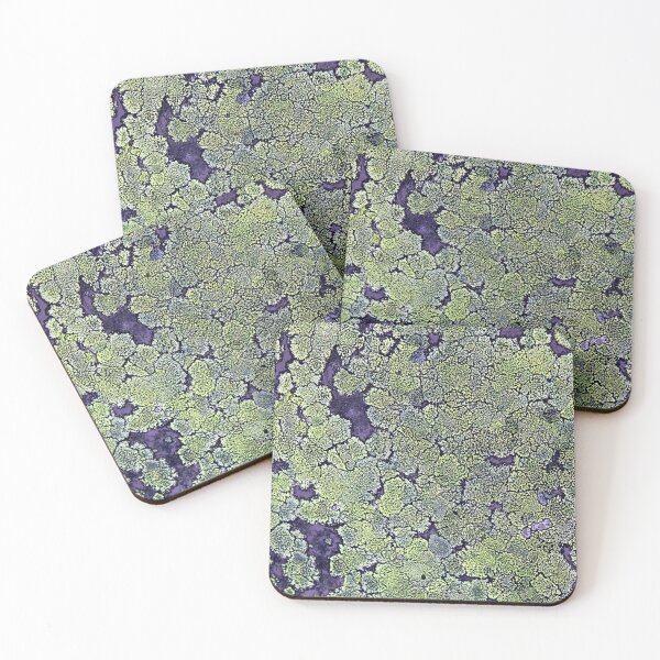 Item preview, lichen designed and sold by KathleenDawson.