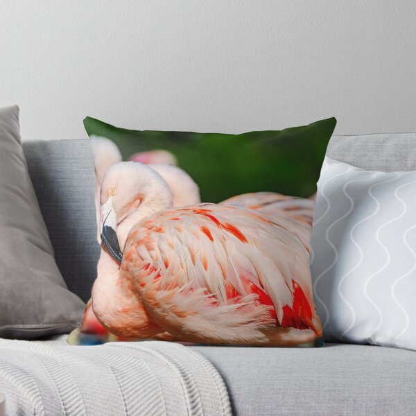 Item preview, Seashore colony of birds, pink flamingos in Sigean safari park, France designed and sold by Alexander Sorokopud.