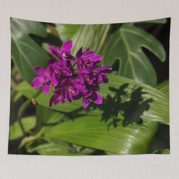 Item preview, Hot Pink Orchids - Exotic Tropical Shadows designed and sold by Georgia Mizuleva.