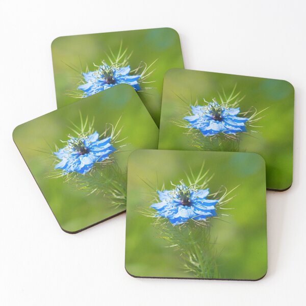 Item preview, Love-in-a-mist - Nigella-damascena designed and sold by Dorset Girl.