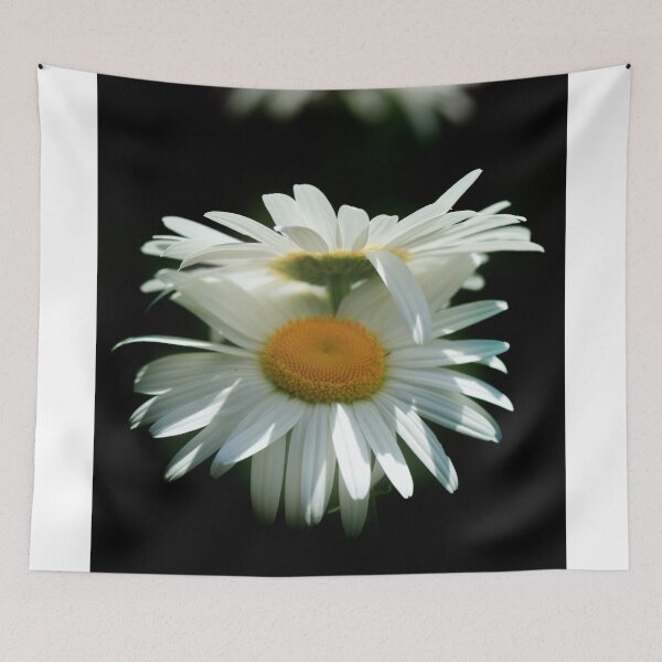 Item preview, White big chamomiles on black background designed and sold by olena2552.