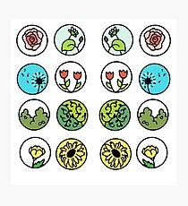 Garden Photographic Print