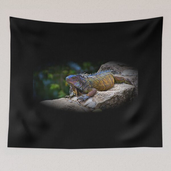 Item preview, Iguanas In Montanita, Ecuador II designed and sold by alabca.