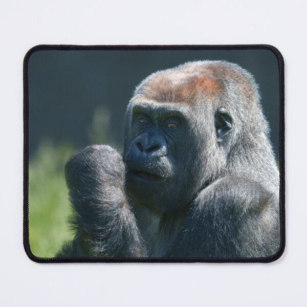Item preview, Gorilla Asante designed and sold by rawshutterbug.