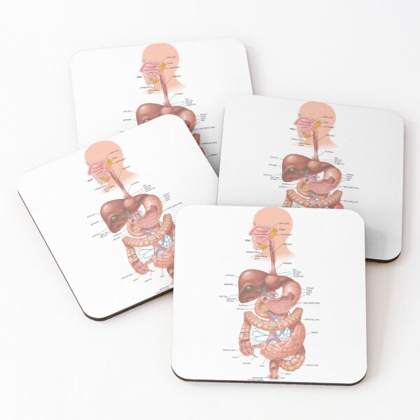 Item preview, Digestive System Diagram  designed and sold by Weird-Artss.