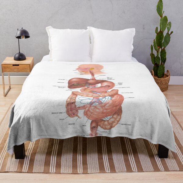 Item preview, Digestive System Diagram  designed and sold by Weird-Artss.