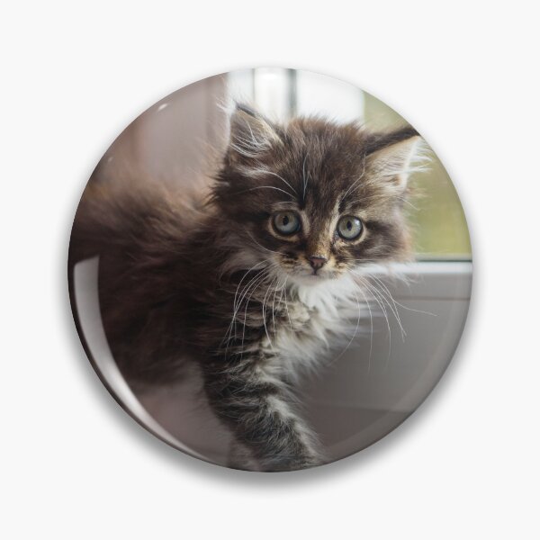 Item preview, Kitten designed and sold by KNBS.