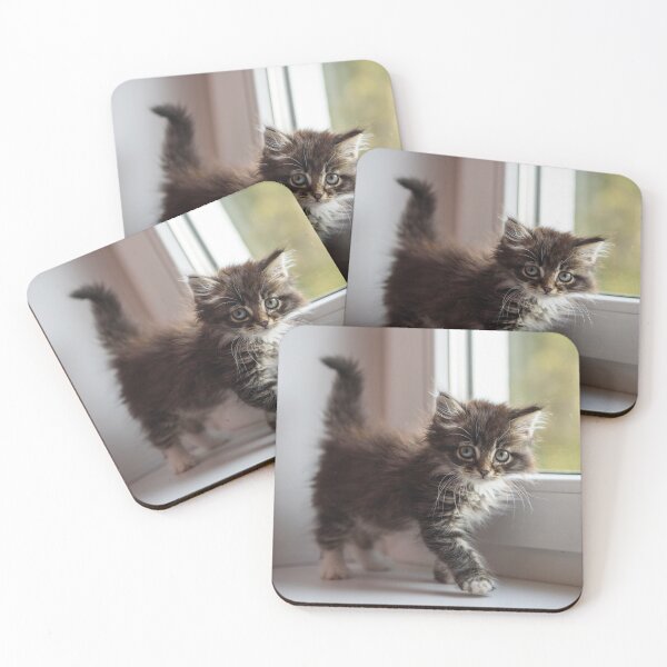 Item preview, Kitten designed and sold by KNBS.