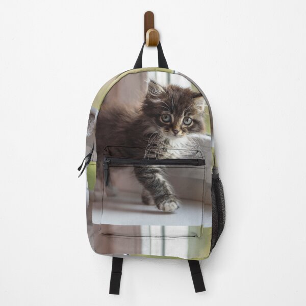 Item preview, Kitten designed and sold by KNBS.
