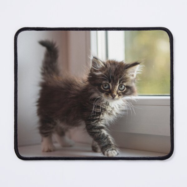 Item preview, Kitten designed and sold by KNBS.
