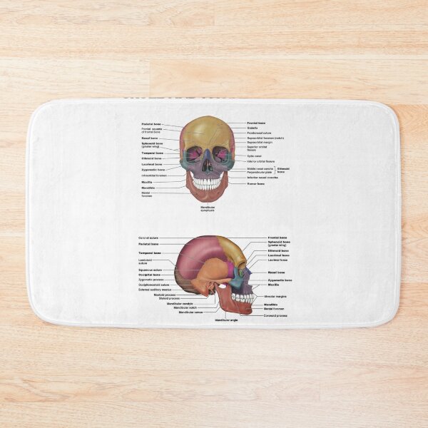 Item preview, Skull and Facial Bones  designed and sold by Weird-Artss.
