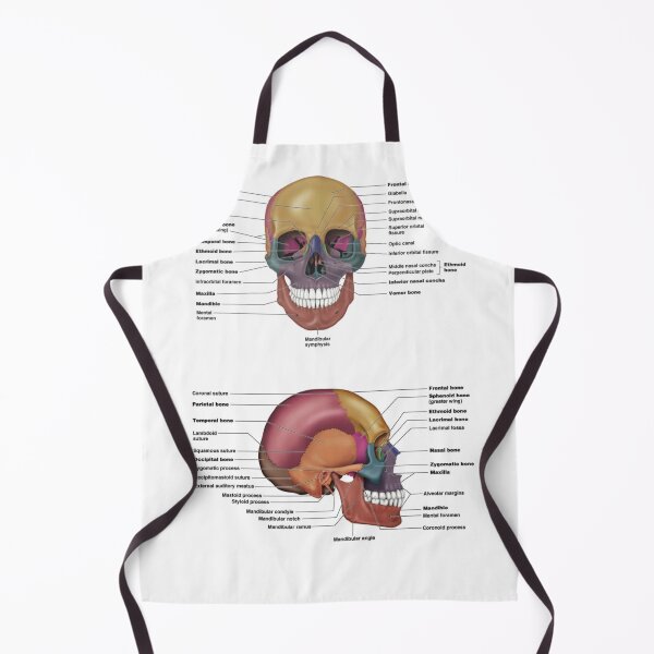 Item preview, Skull and Facial Bones  designed and sold by Weird-Artss.