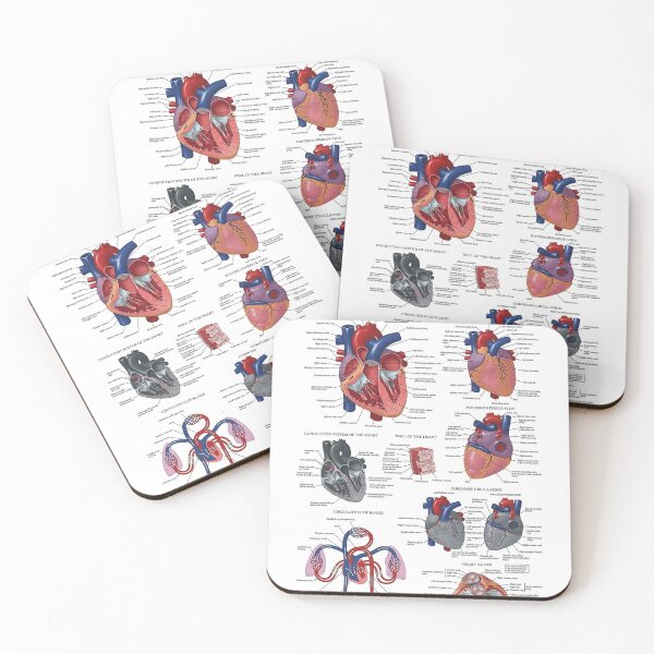Item preview, Heart Anatomy Knowledge  designed and sold by Weird-Artss.