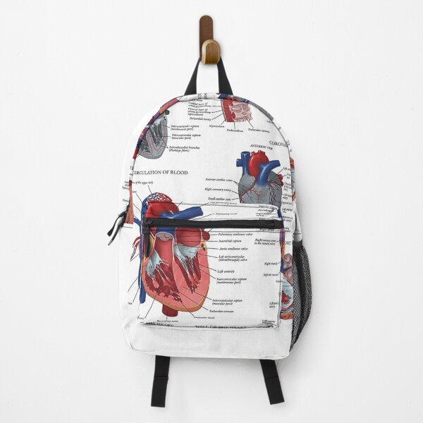 Item preview, Heart Anatomy Knowledge  designed and sold by Weird-Artss.