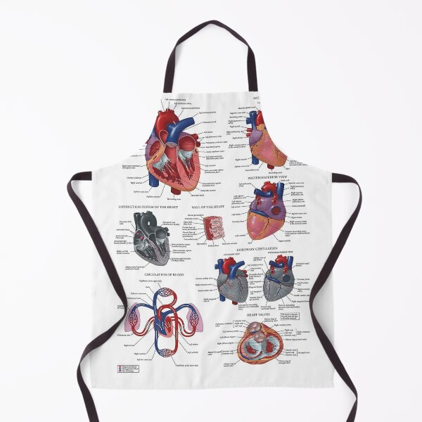 Item preview, Heart Anatomy Knowledge  designed and sold by Weird-Artss.