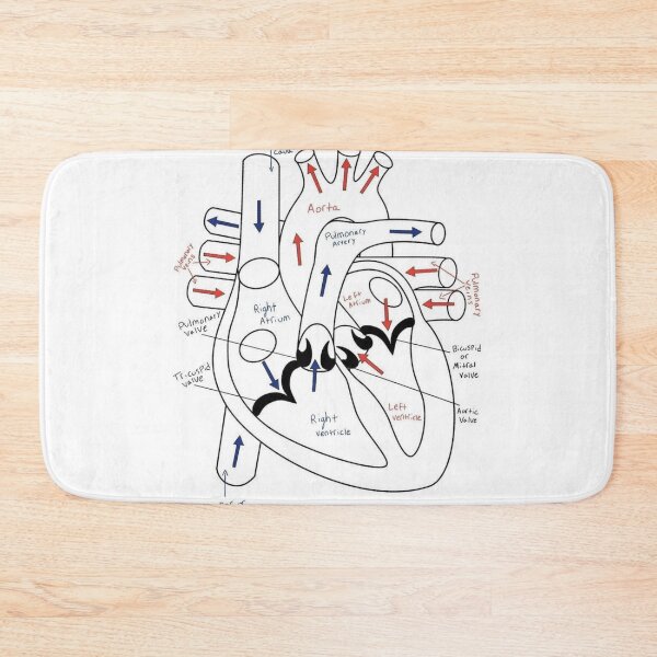 Item preview, The Heart Anatomy Knowledge  designed and sold by Weird-Artss.