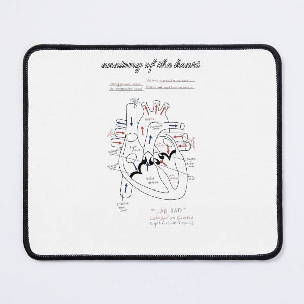 Item preview, The Heart Anatomy Knowledge  designed and sold by Weird-Artss.