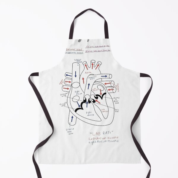 Item preview, The Heart Anatomy Knowledge  designed and sold by Weird-Artss.