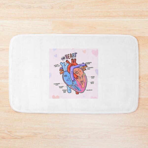 Item preview, The Heart Anatomy Explaining  designed and sold by Weird-Artss.