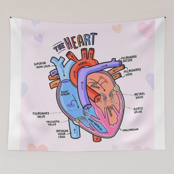 Item preview, The Heart Anatomy Explaining  designed and sold by Weird-Artss.