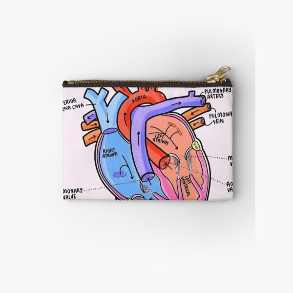 Item preview, The Heart Anatomy Explaining  designed and sold by Weird-Artss.