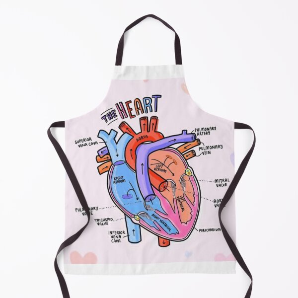 Item preview, The Heart Anatomy Explaining  designed and sold by Weird-Artss.