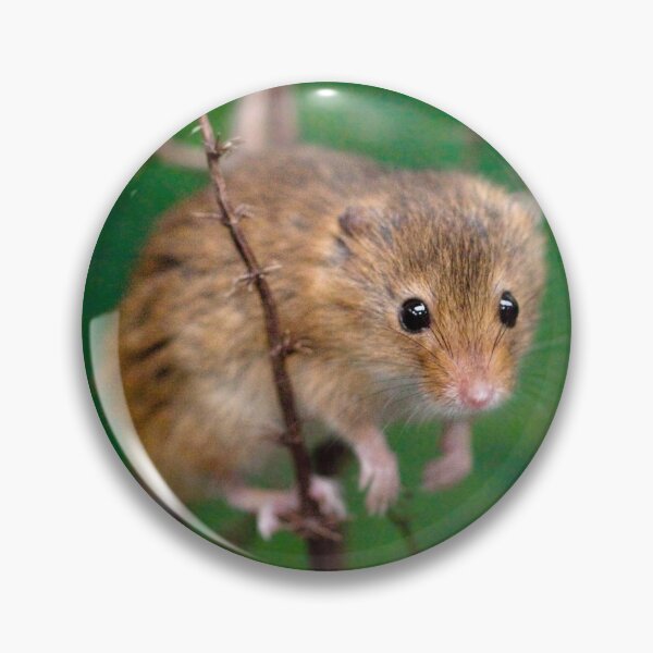 Item preview, Mini-Mouse designed and sold by Krys Bailey.